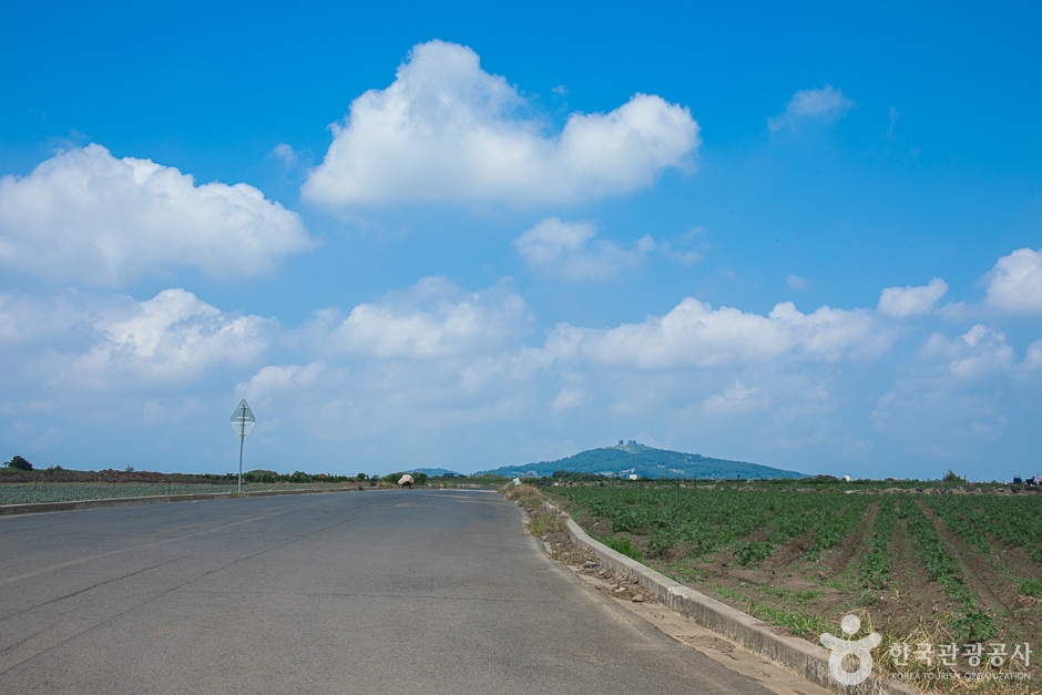 Altteureu Airfield and Japanese Military Aircraft Hangars