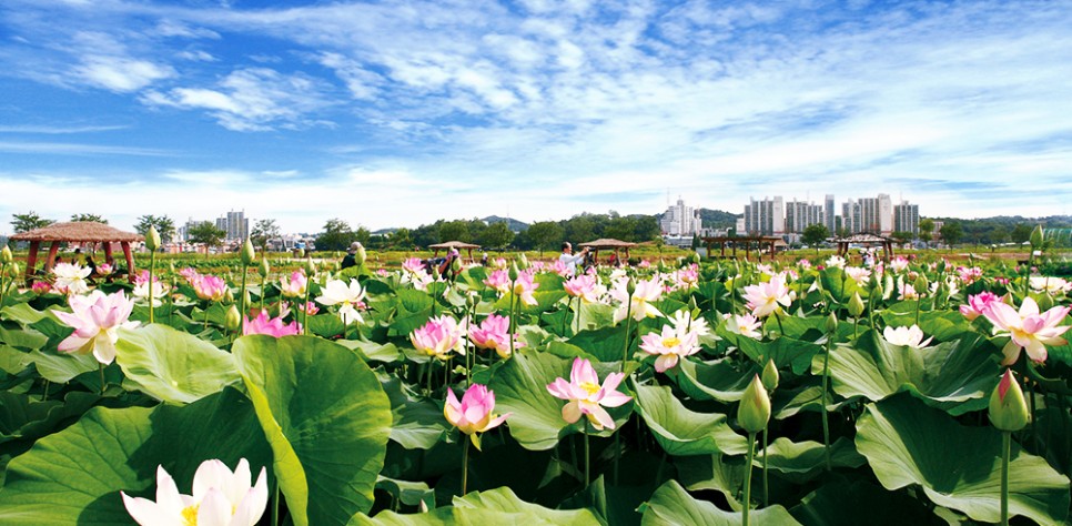 Yeonkkot Theme Park