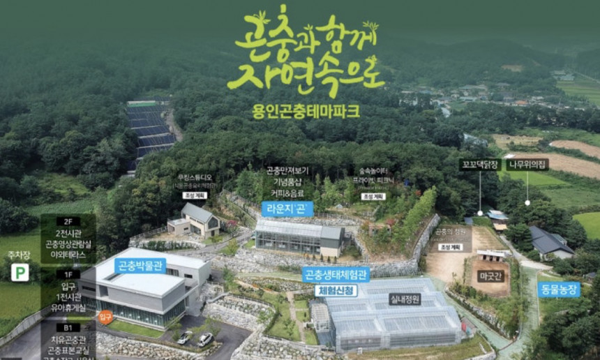 Yongin Insect Theme Park