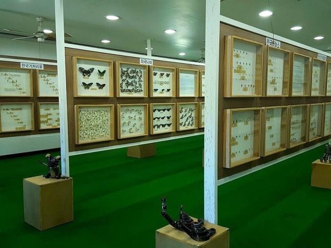 Suanbo Insect Museum