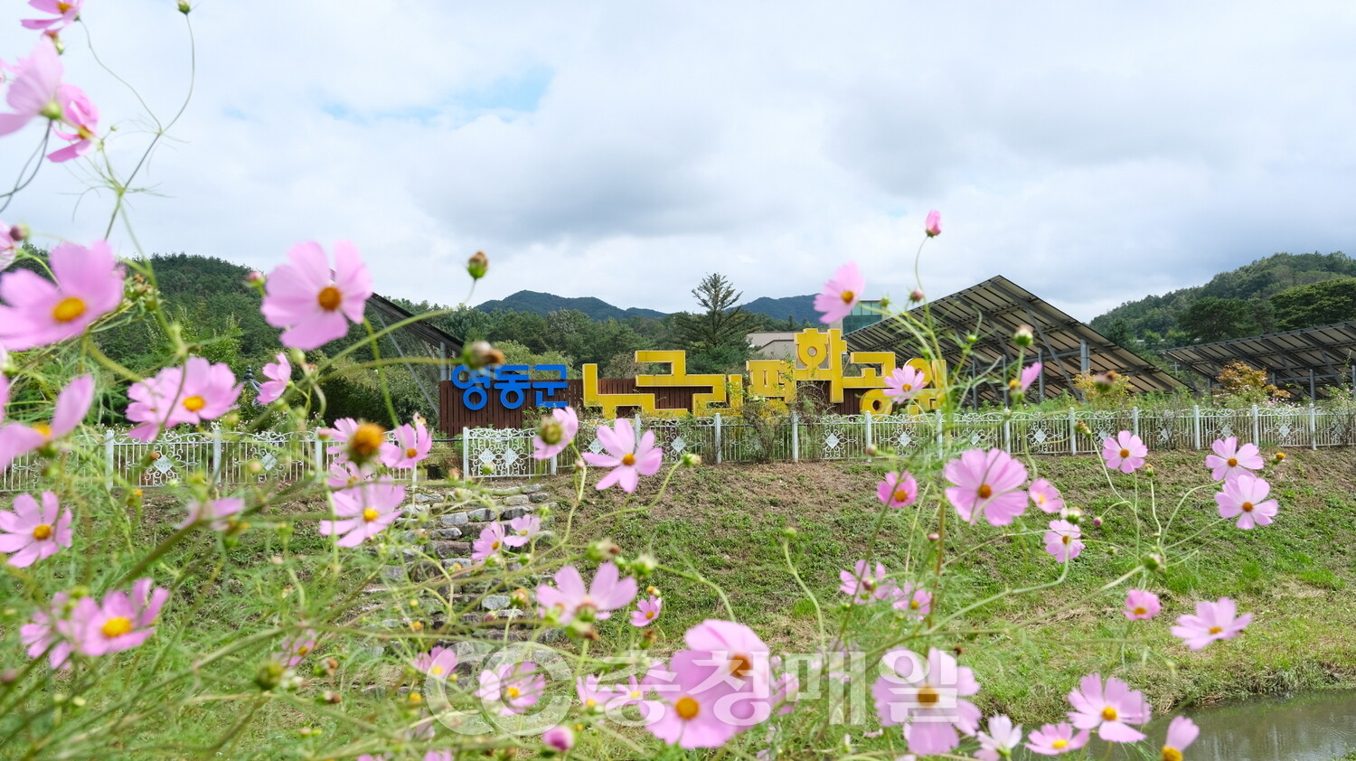 老斤里和平公園