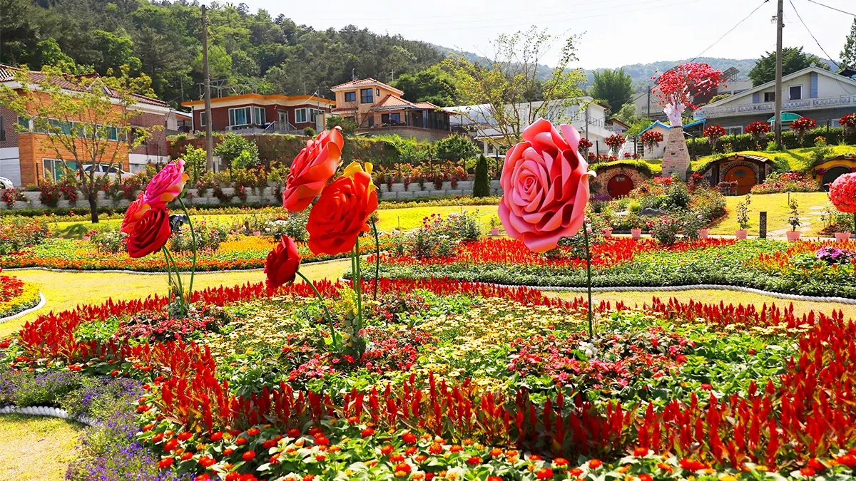 Daejeon Daecheongho 벚꽃 단풍