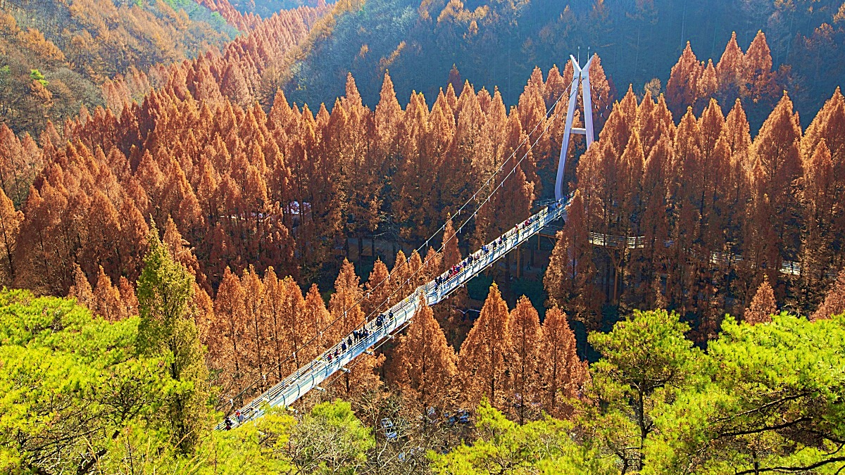 Daejeon Jangtaesan Natural Recreation Forest: Spring and Autumn Seasons
