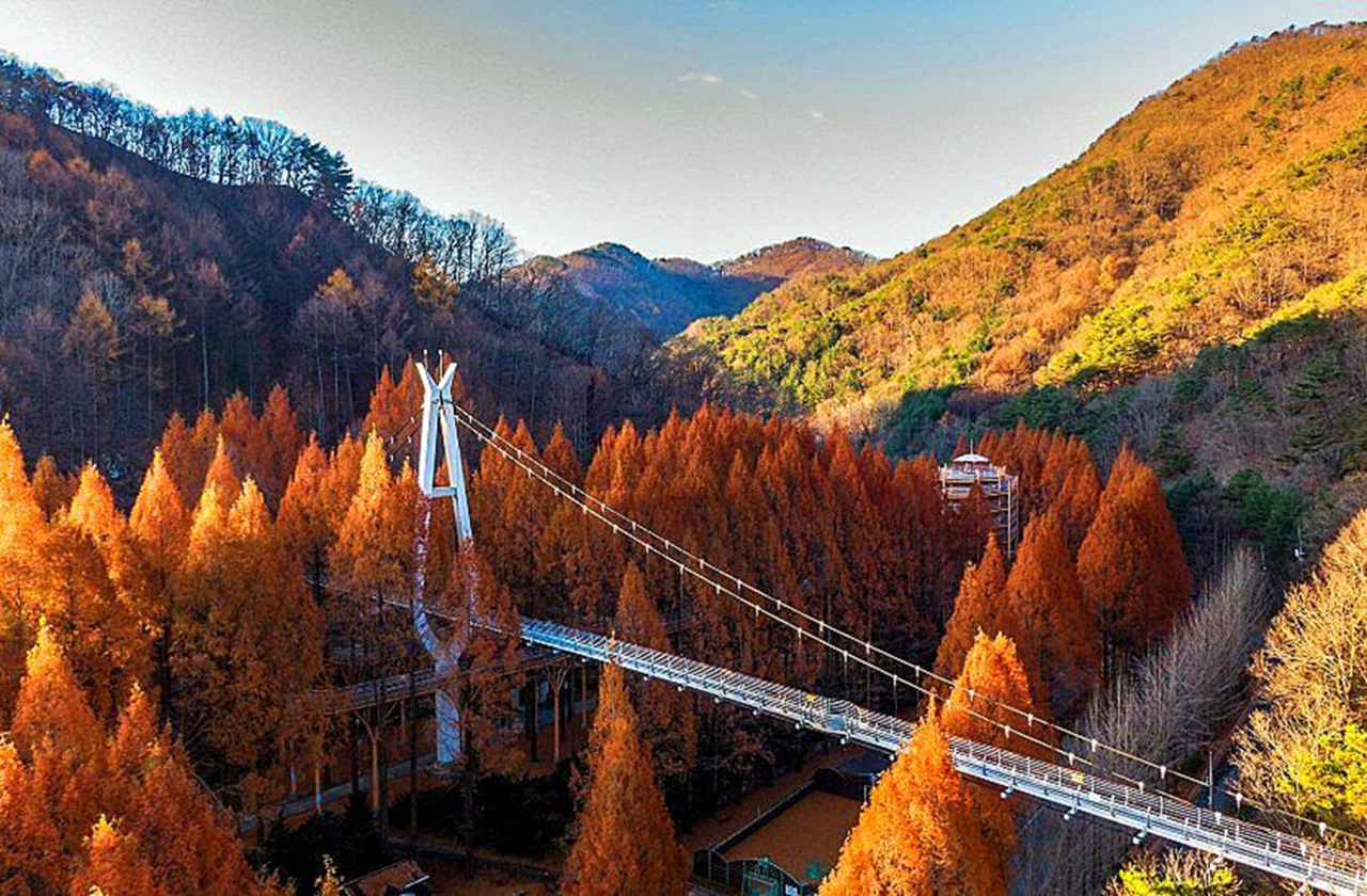 Daejeon Jangtaesan Natural Recreation Forest at Night Scenery