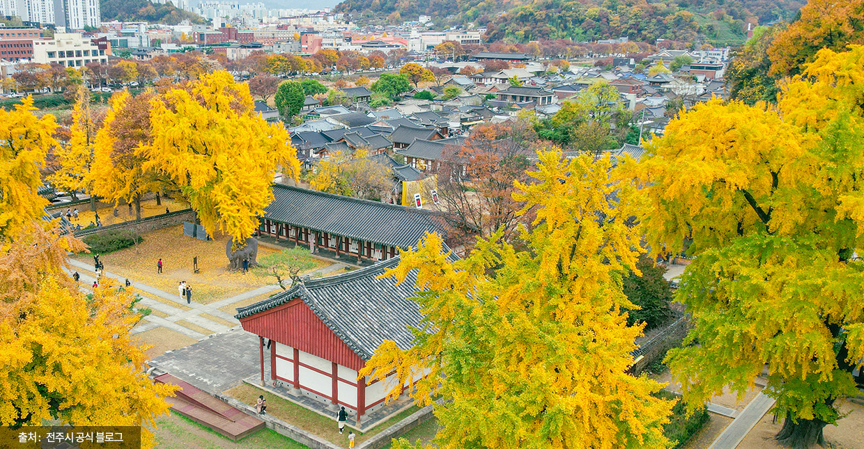 Jeonbuk Jeonju Hanok Village 계절 봄 가을
