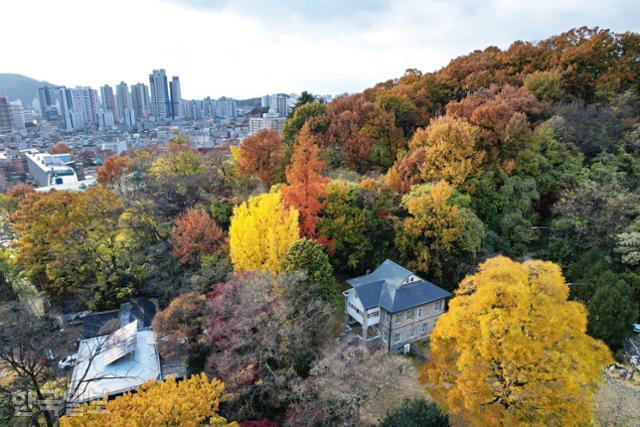 Gwangju Yangnim-dong Historic and Cultural Village 계절 봄 가을