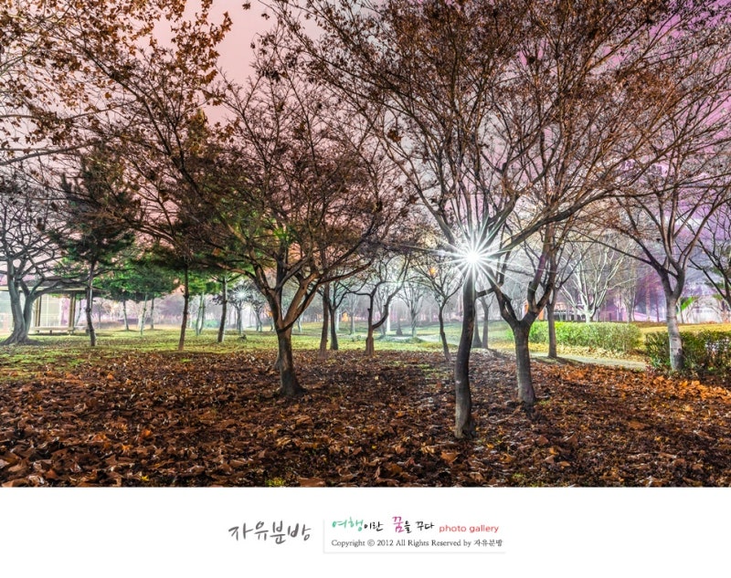 Gwangju Jeomdan District 계절 봄 가을