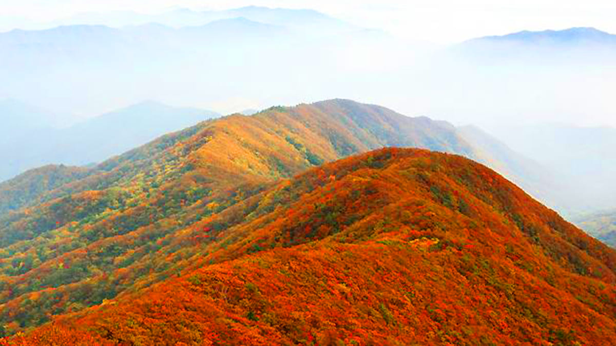 Gangwon-do Wonju Chiaksan 계절 봄 가을