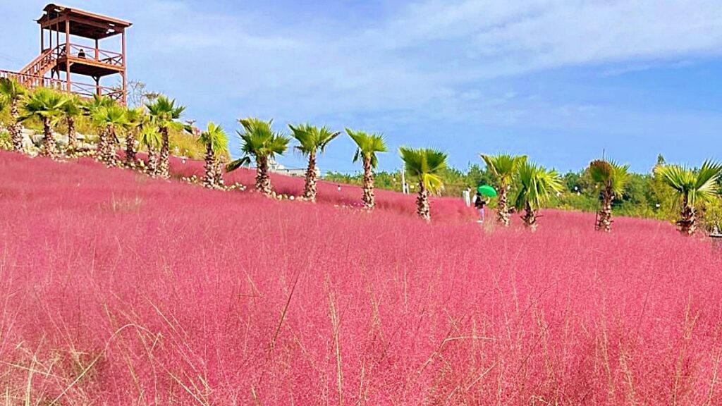 Gangwon-do Gangneung Gyeongpo-dae 계절 봄 가을