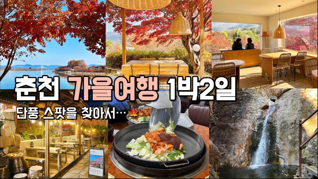 Gangwon-do Chuncheon Dakgalbi Alley 벚꽃 단풍