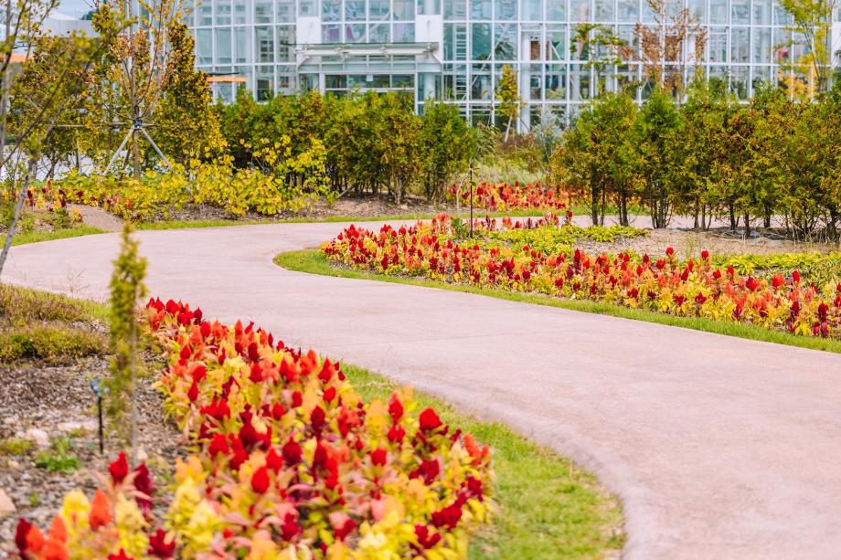 National Arboretum of Sejong, Sejong-si 계절 봄 가을