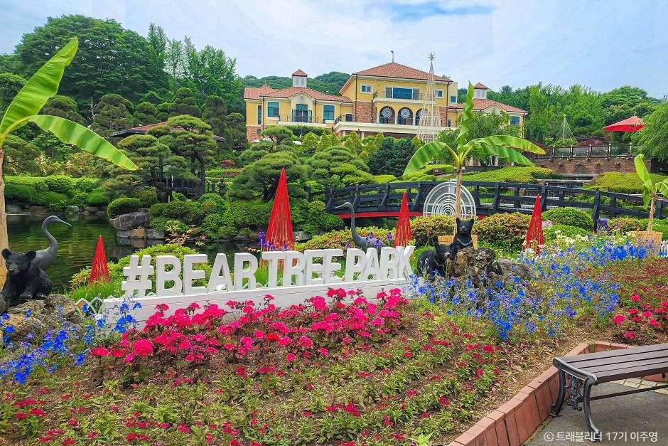 Sejong-si Bear Tree Park 명소 볼거리