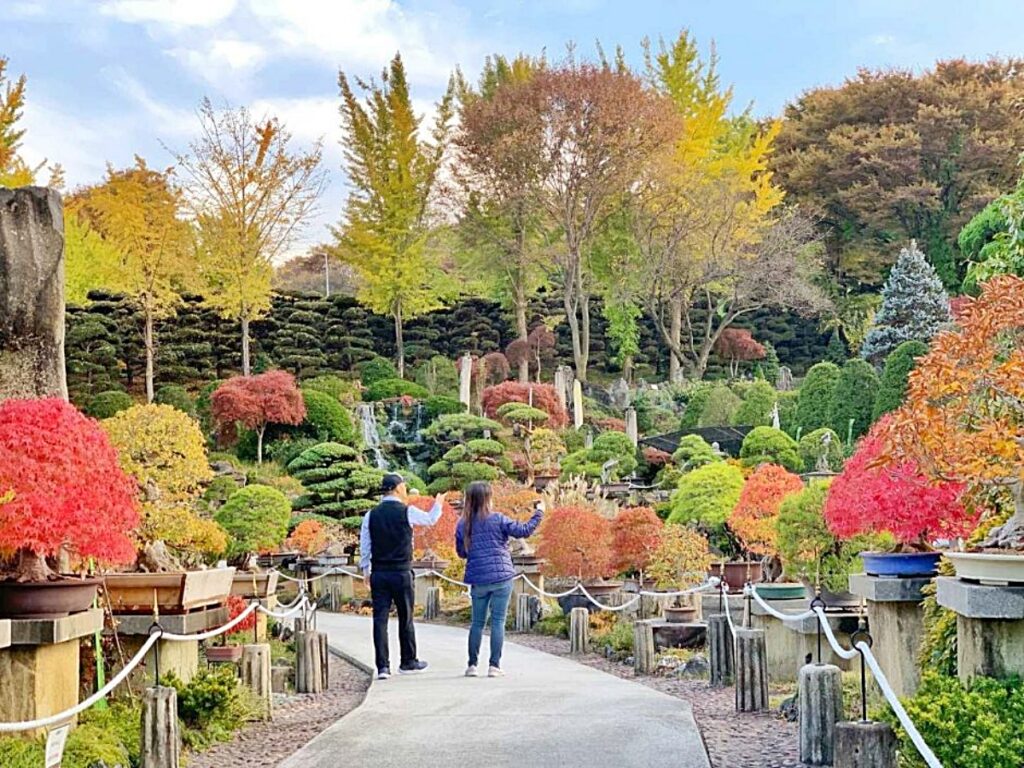 Sejong-si Bear Tree Park 계절 봄 가을