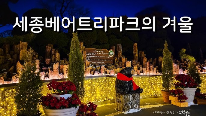 Sejong-si Bear Tree Park 야경