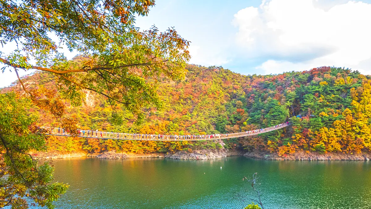 Chungcheongbuk-do Jecheon Oksunbong Suspension Bridge 계절 봄 가을