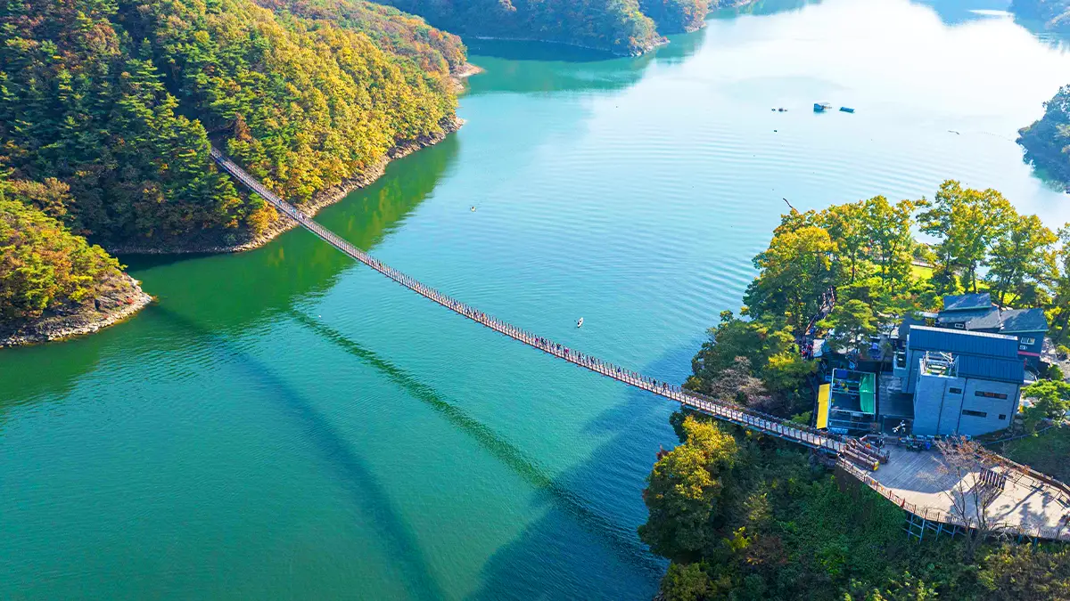 Chungcheongbuk-do Jecheon Oksunbong Suspension Bridge 야경
