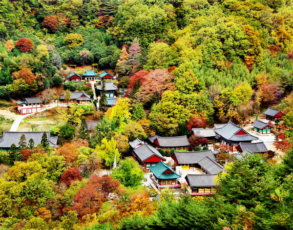 Ssanggyesa Temple in Hadong, a peaceful Jirisan stop