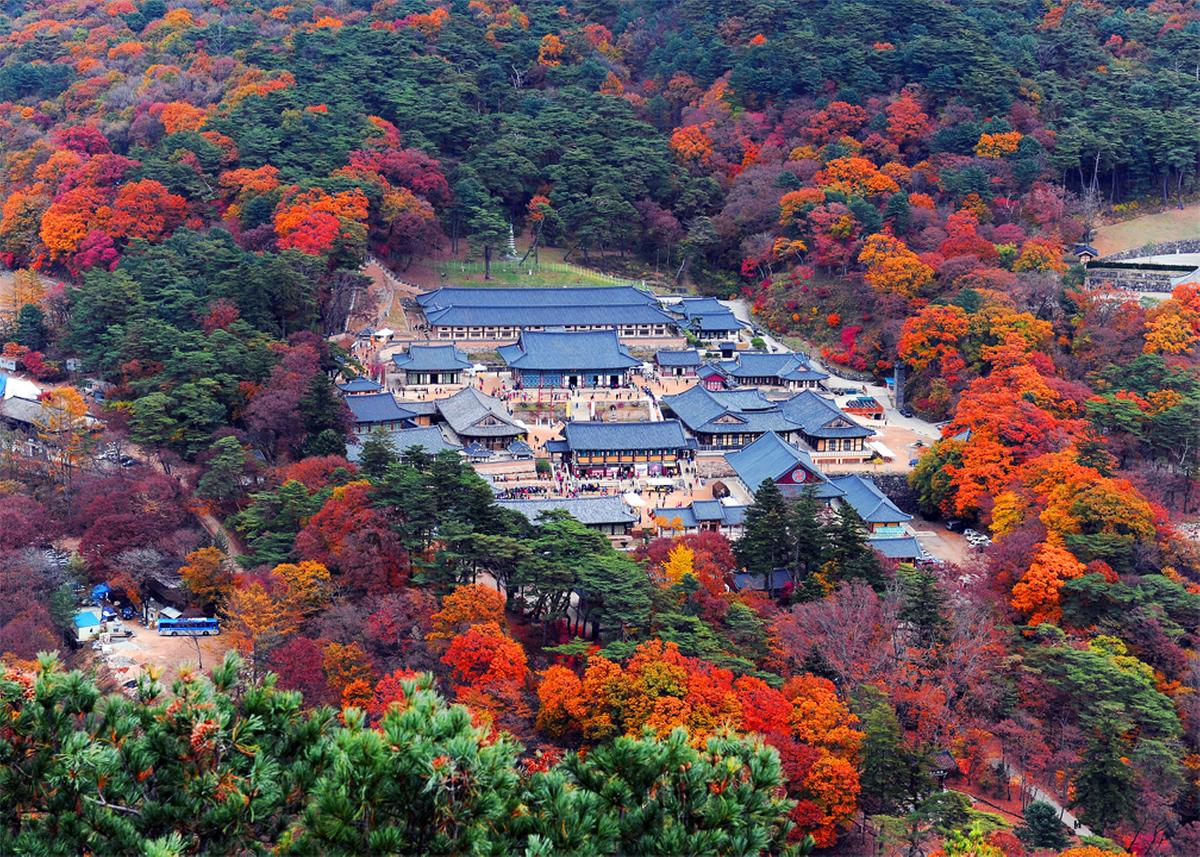 Hapcheon Haeinsa Temple Janggyeongpanjeon and Tripitaka Koreana