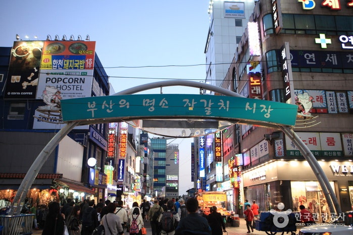 Busan, Busan Jagalchi Market 명소 볼거리