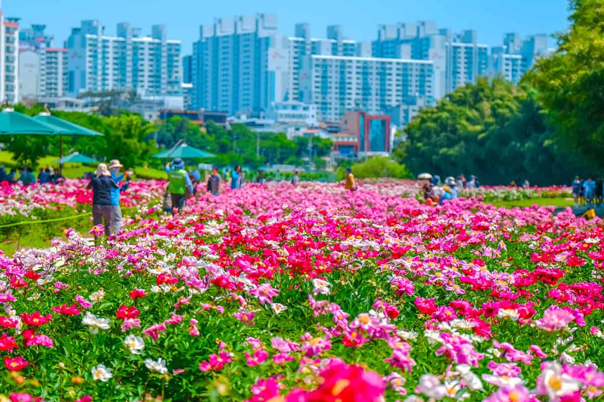 Ulsan Taehwagang Gukga Jeongwon 명소 볼거리