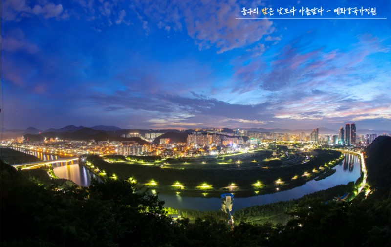 Ulsan Taehwagang Gukga Jeongwon 야경
