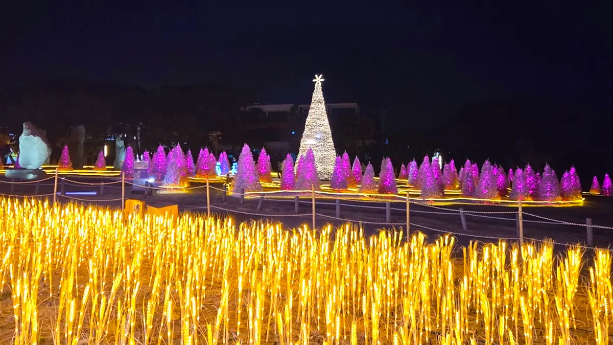 울산 간절곶 야경