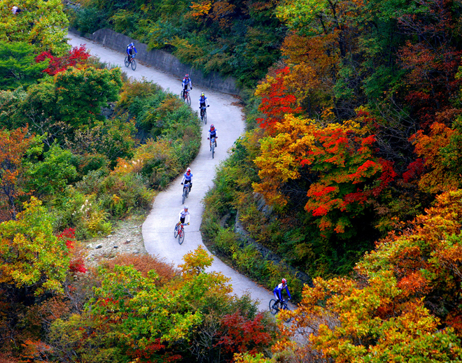 Ulsan Yeongnam Alps 벚꽃 단풍