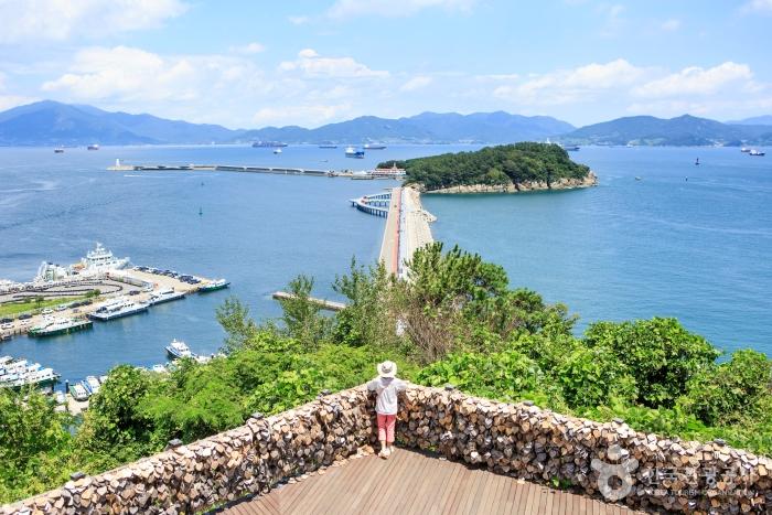Odongdo Island Yeosu: camellia and paulownia deck walk & lighthouse
