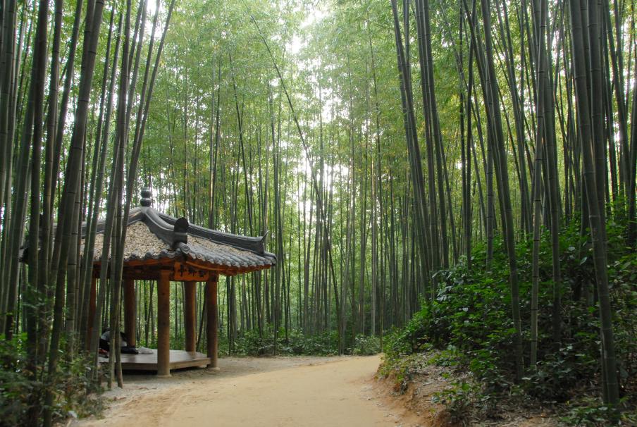 Damyang Bamboo Forest Juknokwon walking path