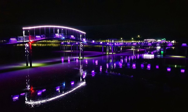 Jeonnam Sinan Purple Island 야경
