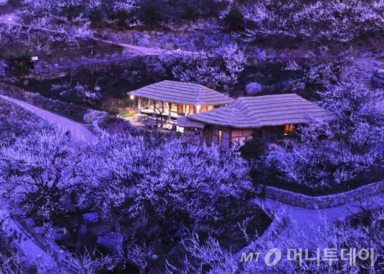 Maehwa Village in Gwangyang, Jeollanam-do 야경