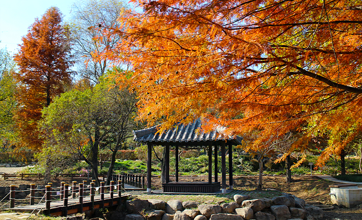 Jeonju Jeonju Nambu Market 계절 봄 가을