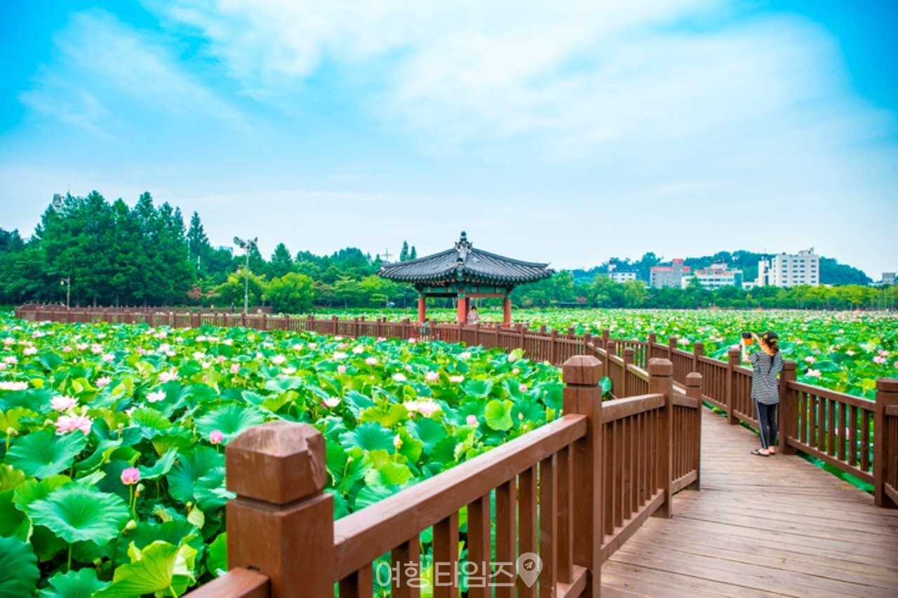 Jeonju Jeonju Deokjin Park 계절 봄 가을
