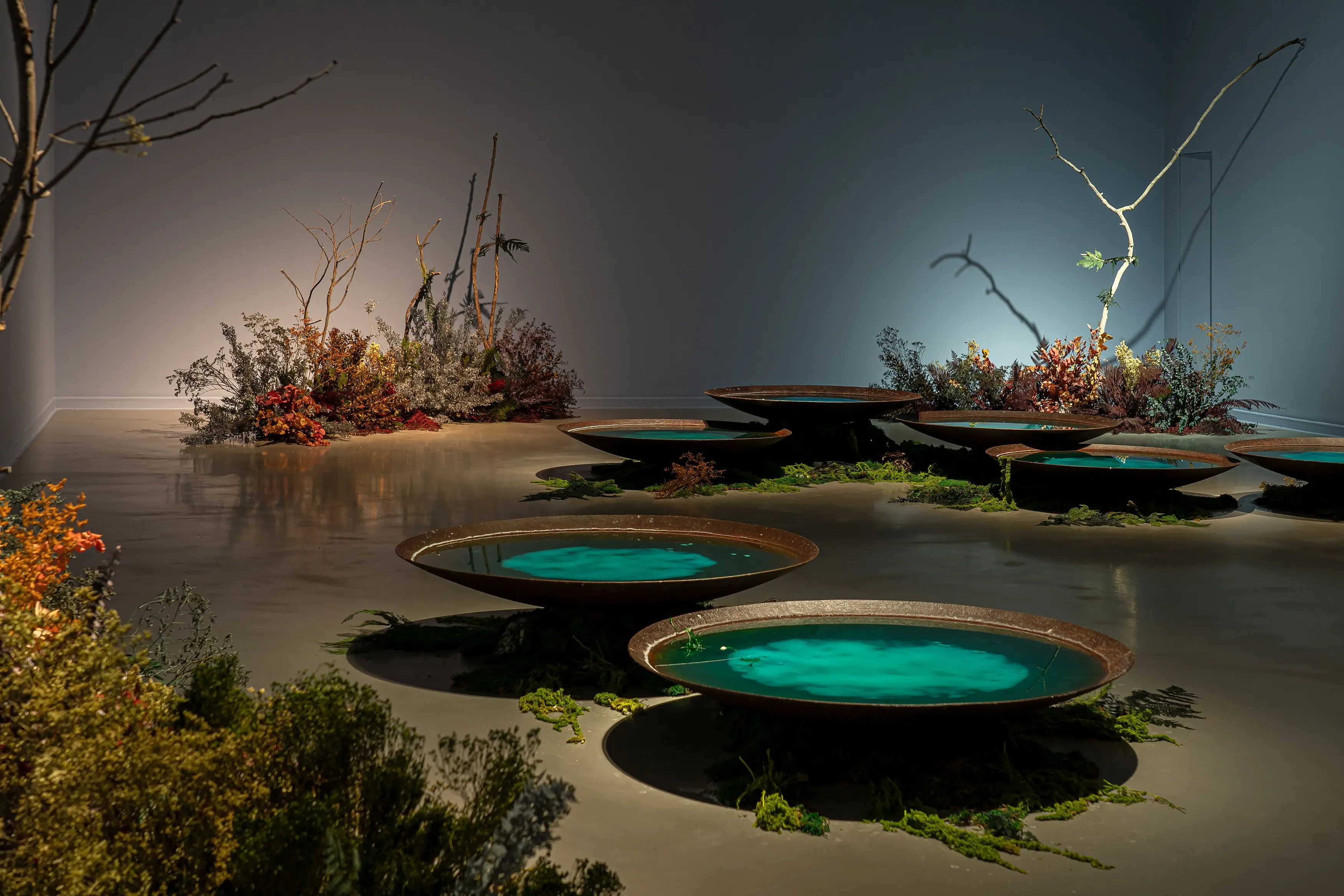 Gwangju Gwangju Biennale Exhibition Hall 계절 봄 가을