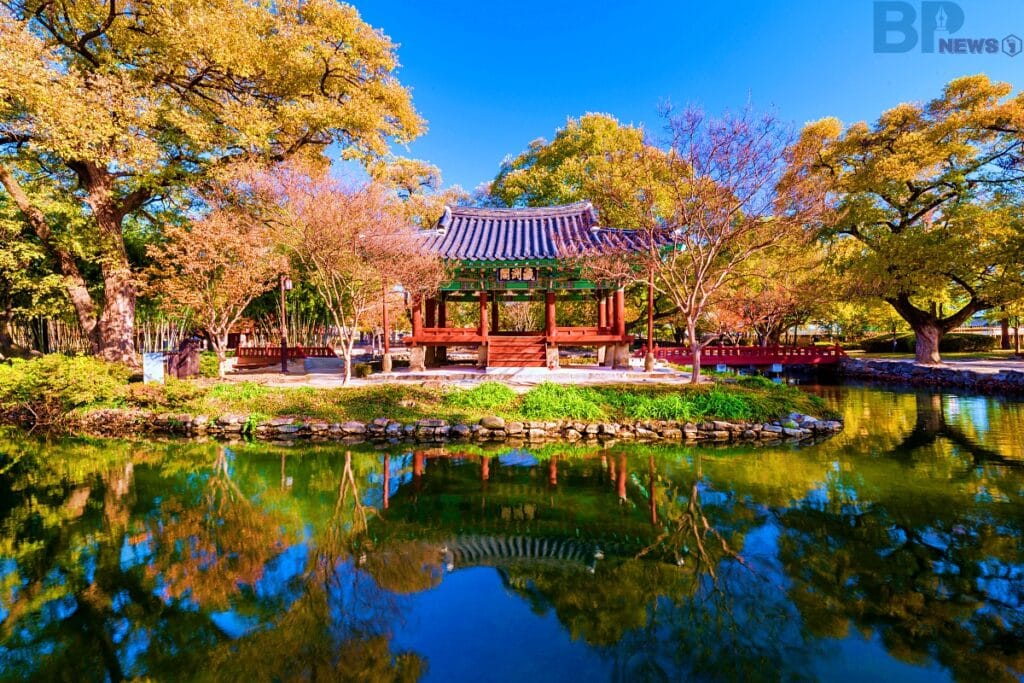 Jeonbuk Namwon Gwanghalluwon 벚꽃 단풍