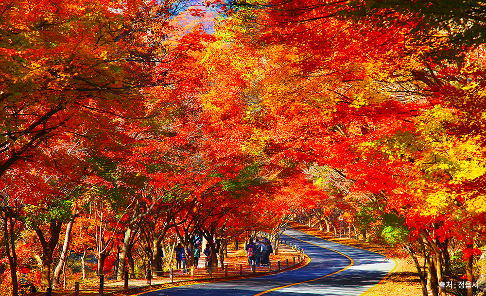 Naejangsan Mountain in Jeongeup: autumn danpung views to Sinseonbong