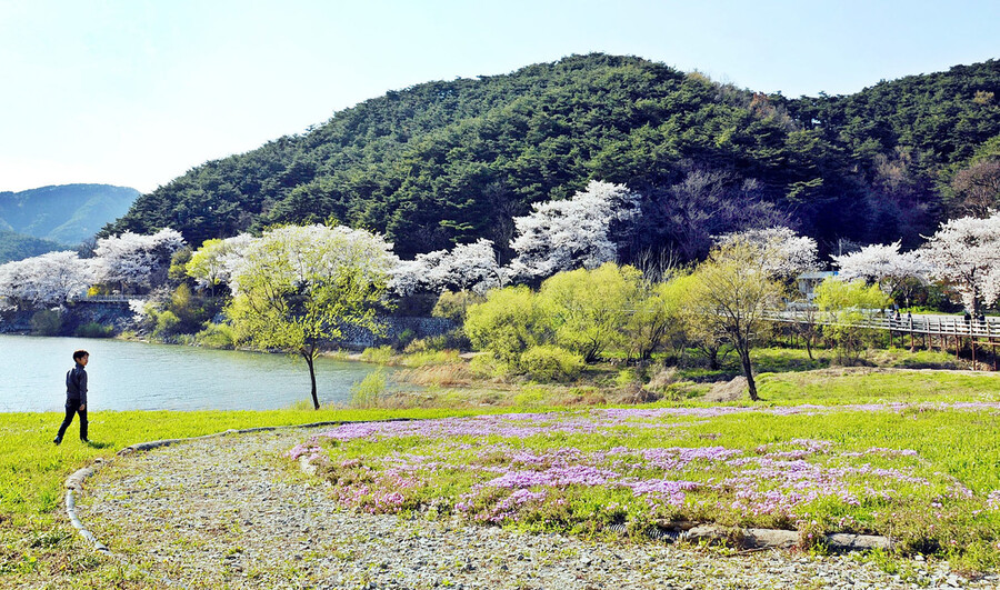 Jeonbuk Jeongeup Naejangsan 계절 봄 가을
