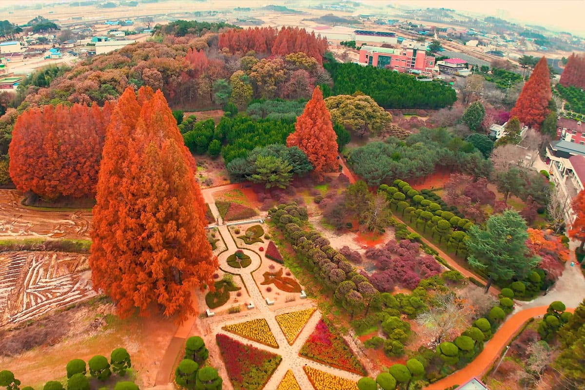 Mireuksa Temple Site in Iksan, Jeonbuk 벚꽃 단풍