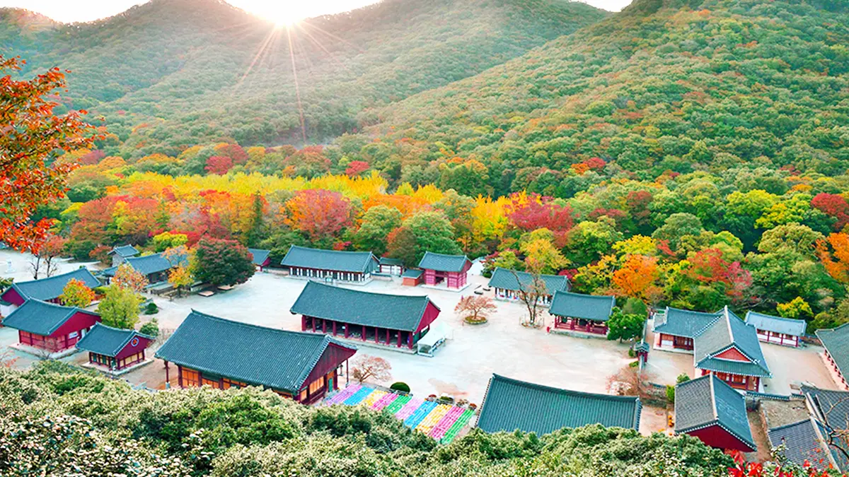 Jeonbuk Gochang Seonunsa 계절 봄 가을