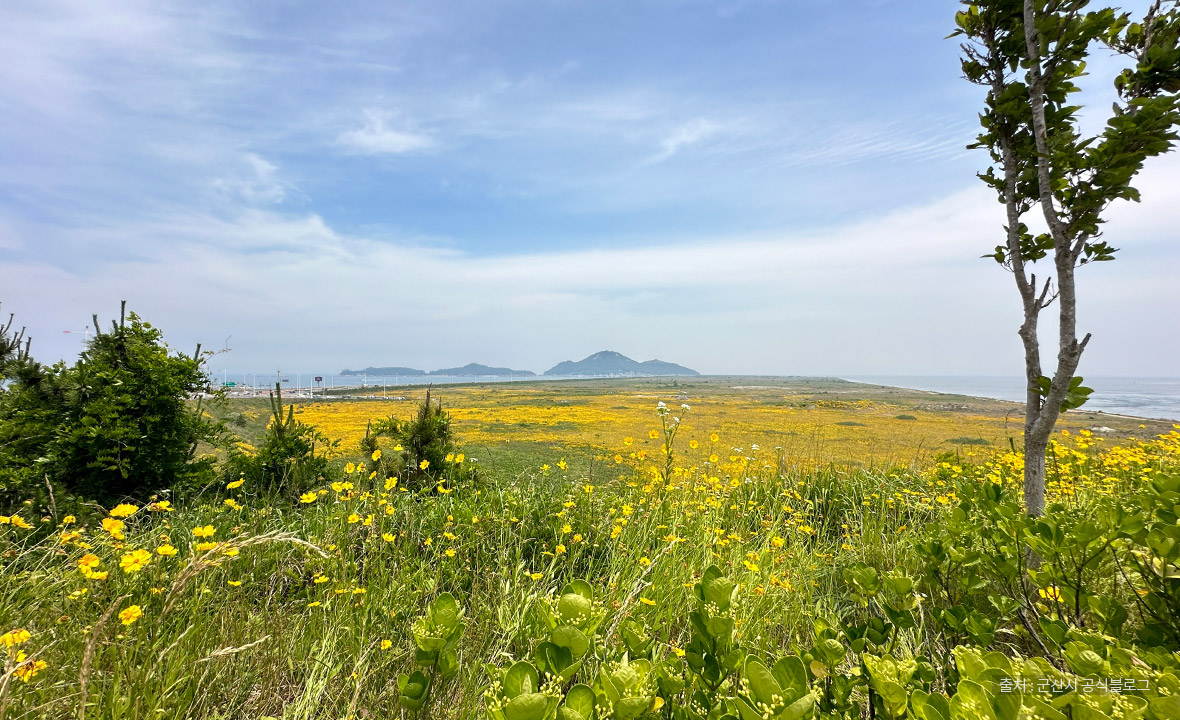 Jeonbuk Gunsan Saemangeum Seawall 계절 봄 가을