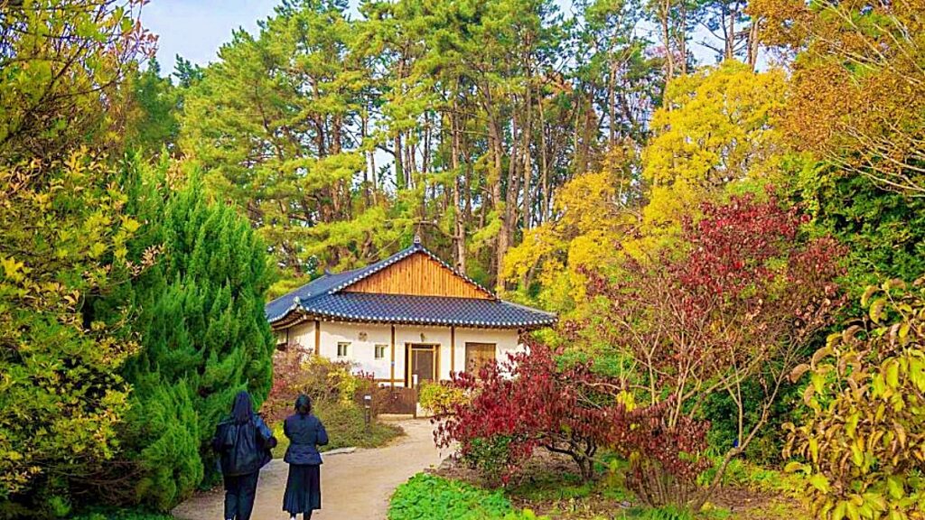 Chungnam Taean Cheonripo Arboretum 계절 봄 가을