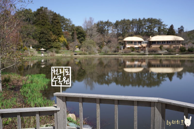 Chungnam Taean Cheonripo Arboretum 야경