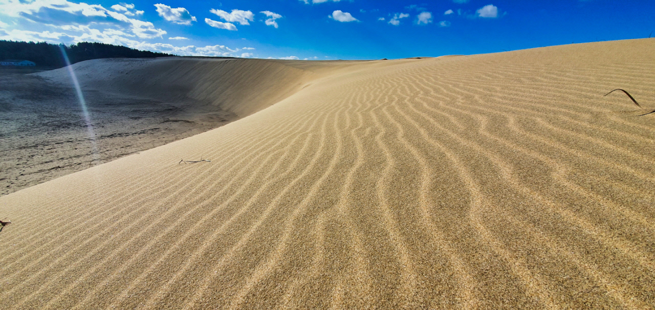 Sindu-ri Coastal Dunes in Taean, Korea’s vast sandscape