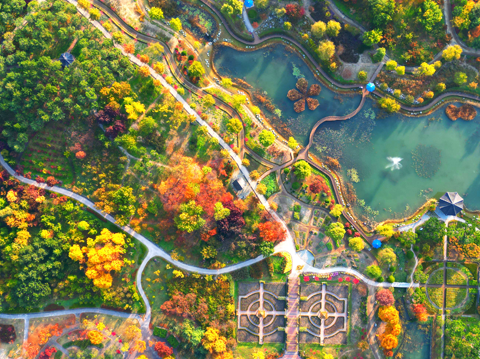 Hanbat Arboretum Daejeon, a city oasis of plants