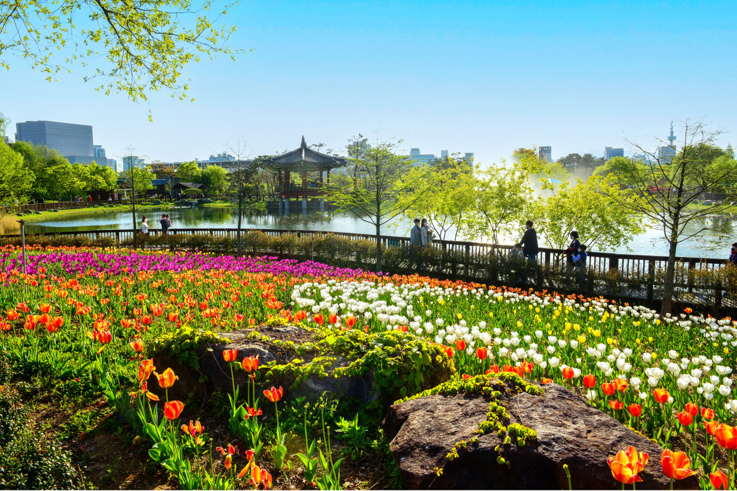 Daejeon Hanbat Arboretum 명소 볼거리