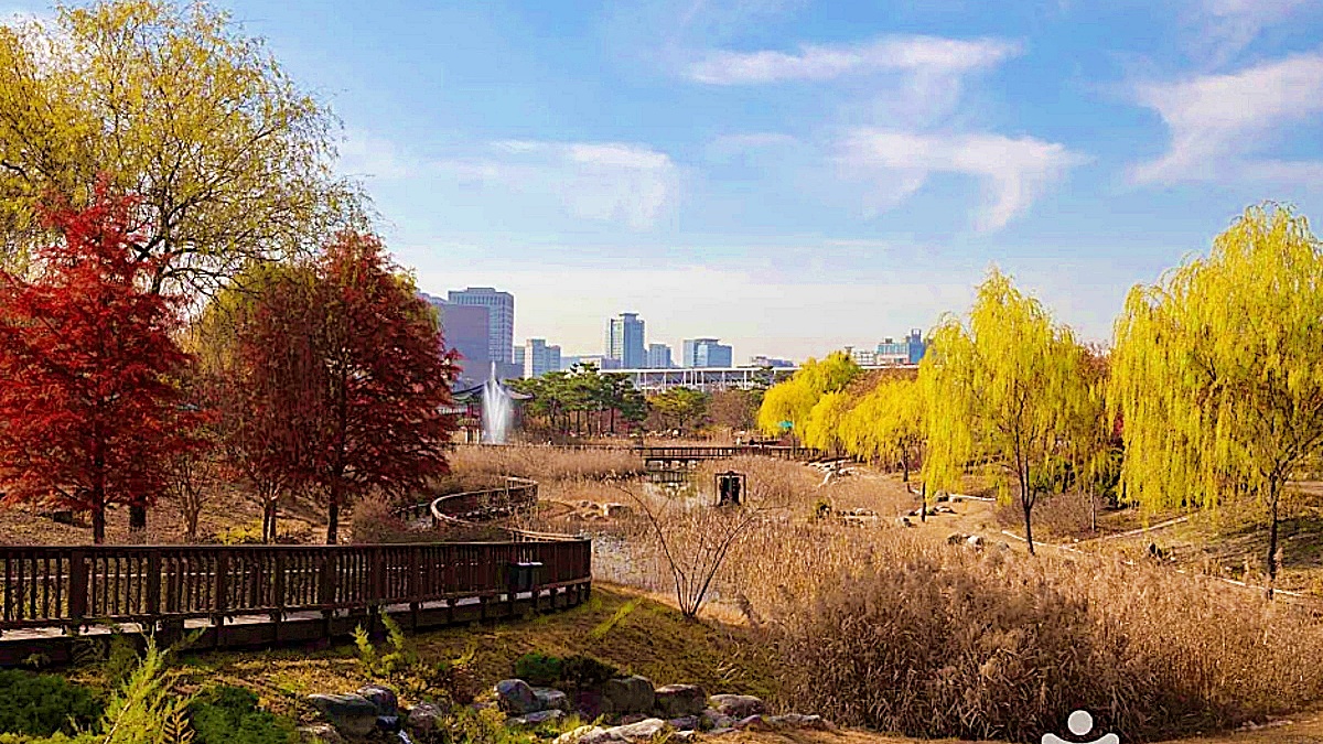 Daejeon Hanbat Arboretum 계절 봄 가을