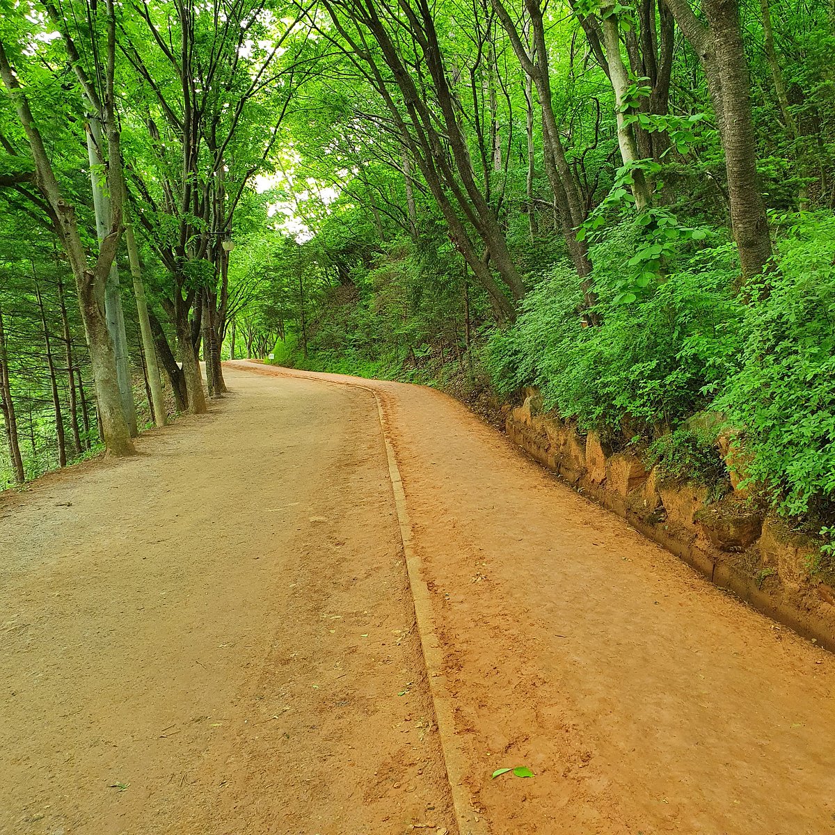 Gyejoksan Yellow Clay Barefoot Trail in Daejeon 14.5km