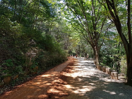Daejeon Gyejoksan Hwangtto-gil 명소 볼거리