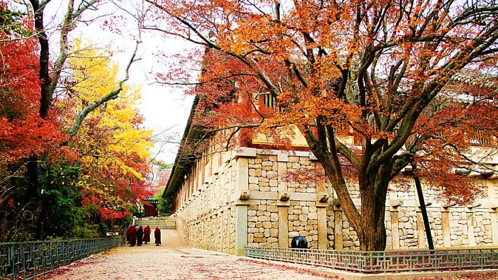 Bulguksa Temple, Gyeongju, Gyeongbuk 계절 봄 가을