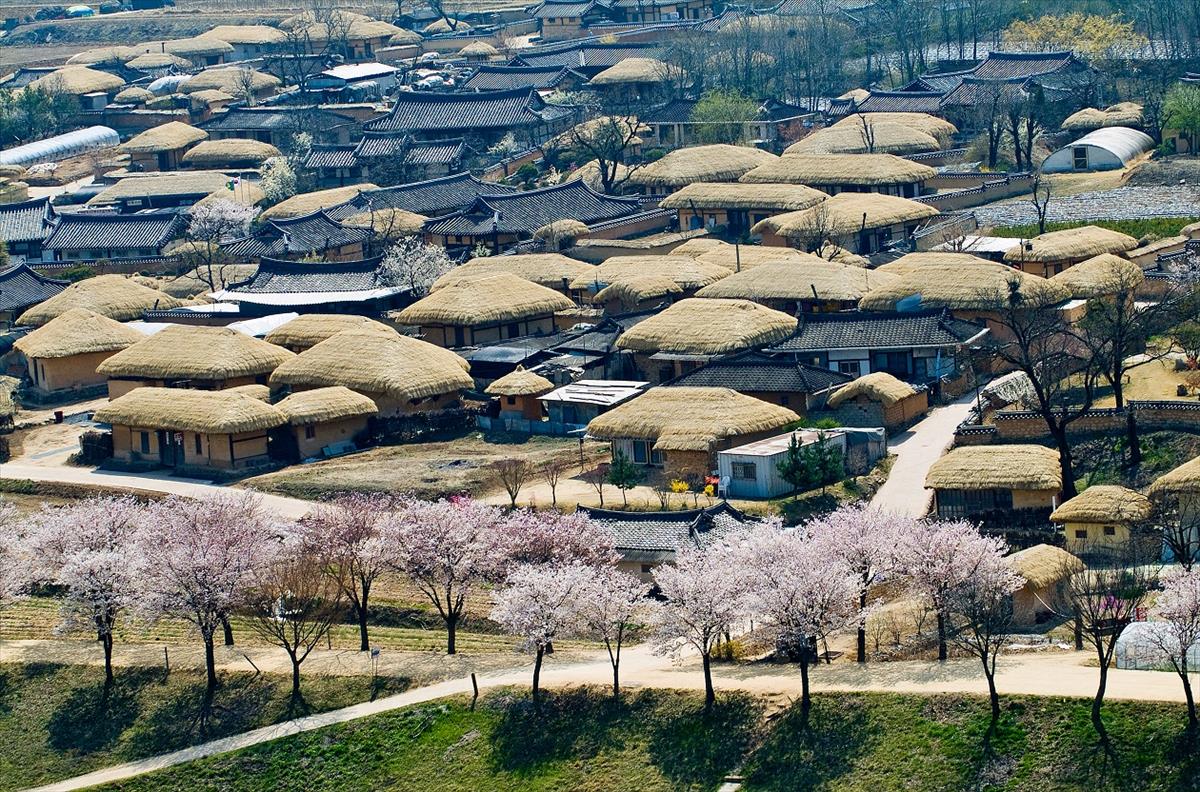Andong Hahoe Village: 600 Years of Pungsan Ryu Family Homes